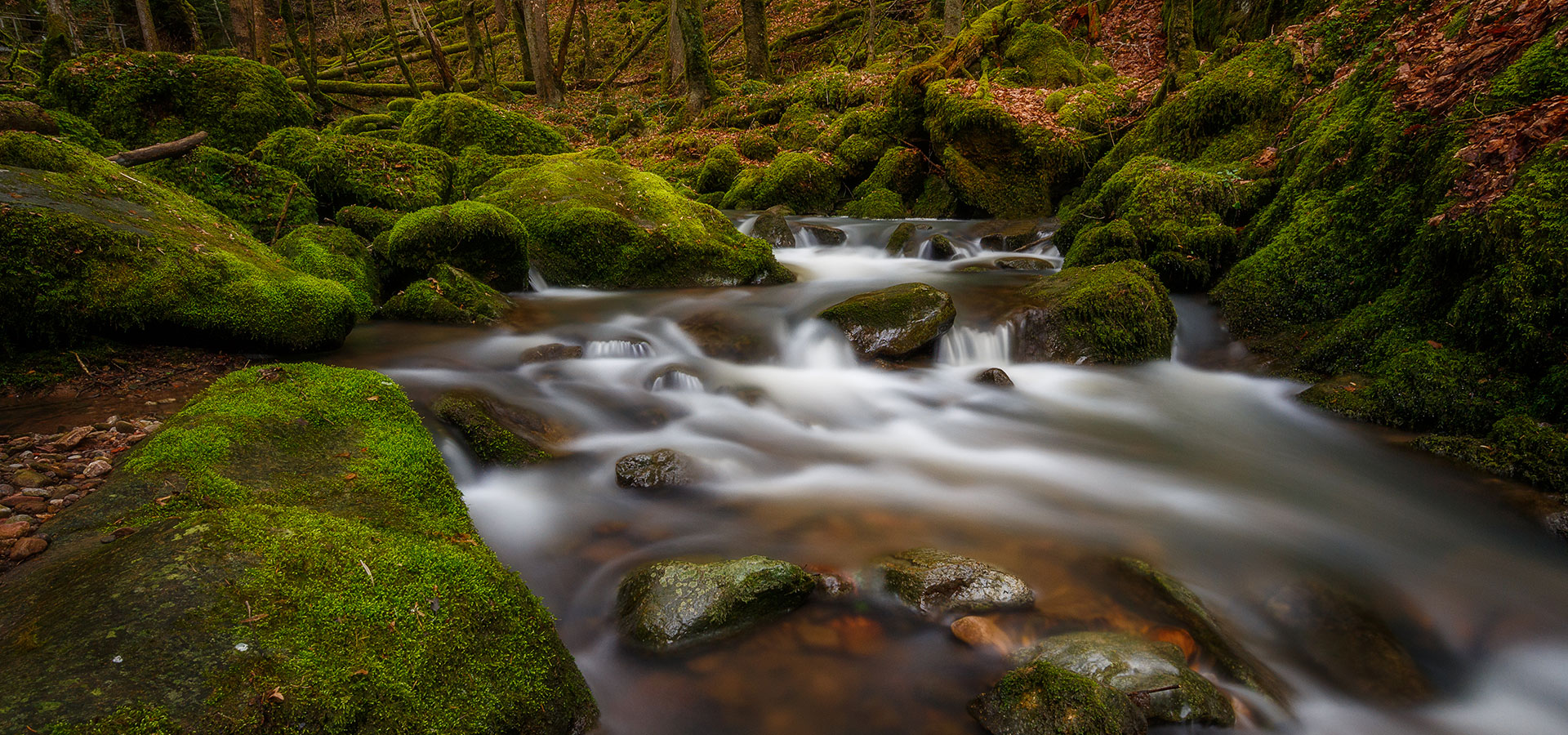 Urlaub im Schwarzwald